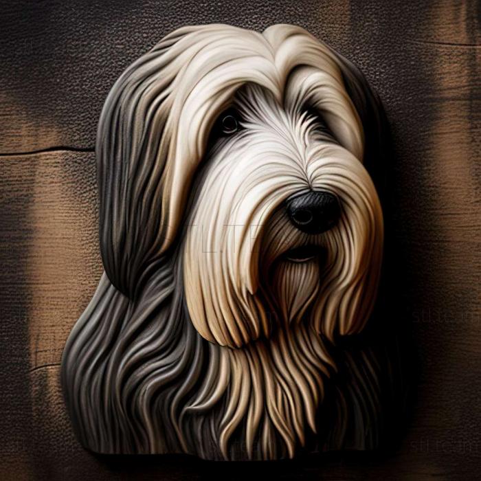 3D model Bearded Collie dog (STL)